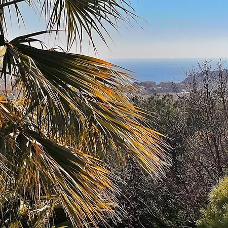 Palm & Sun فيلة *