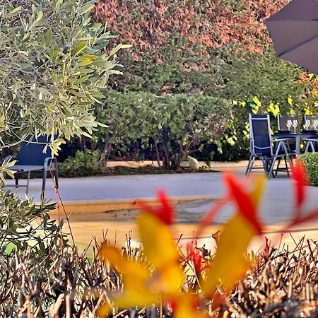 فيلة Palm & Sun *