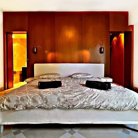 Palm & Sun 别墅 尼斯