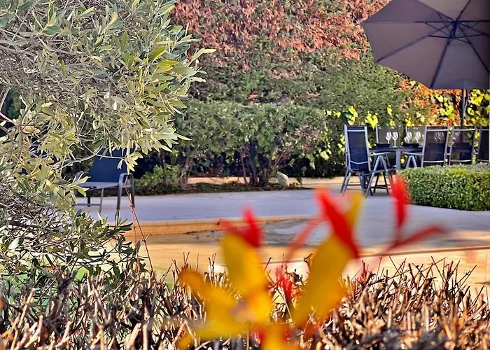 فيلة Palm & Sun *