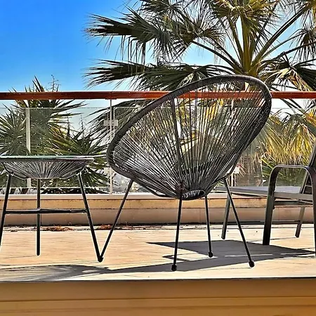 Palm & Sun *